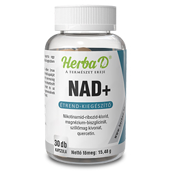 NAD +