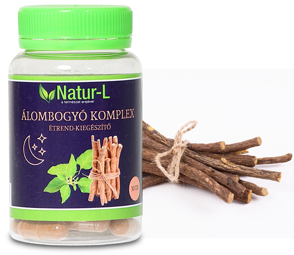 Álombogyó Komplex