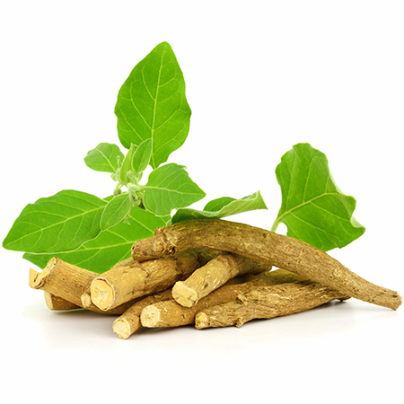 ashwaganda
