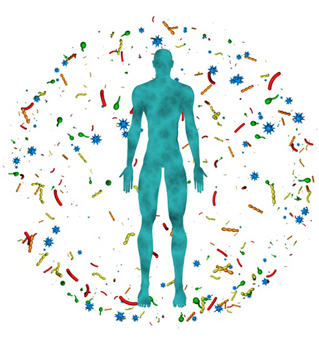 Immunrendszer