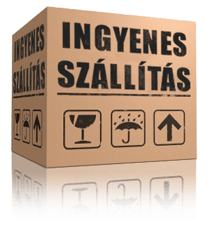 Ingyenes szállítás