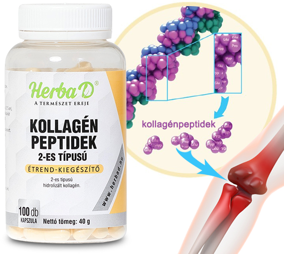 Kollagén peptidek