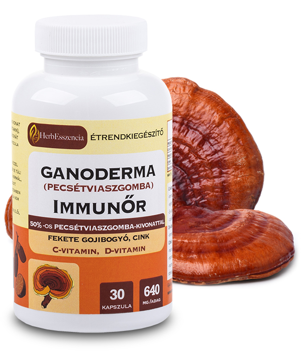 Ganoderma Immunőr