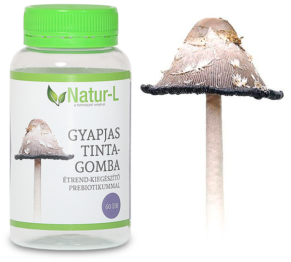 Gyapjastintagomba-kapszula