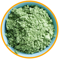 Chlorella (zöld alga)