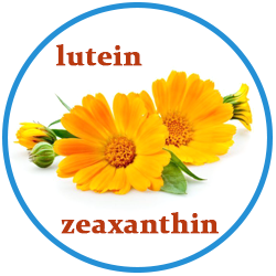 Lutein és zeaxanthin (körömvirág-kivonatból)