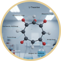 L-teanin