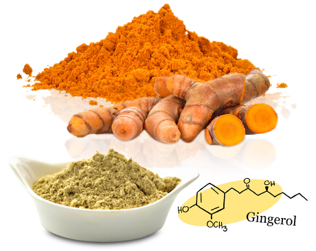 Hatóanyagok