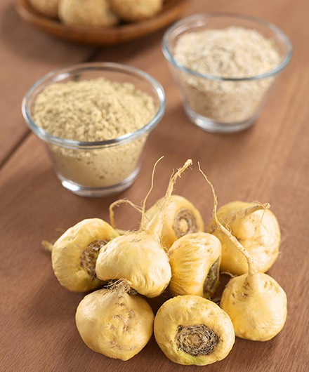 Maca gyökér