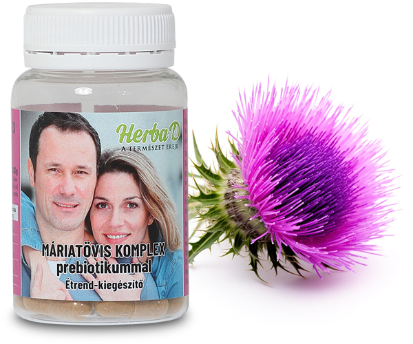 Máriatövis Komplex