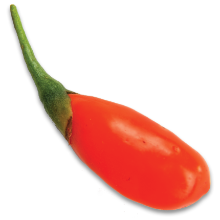 Goji