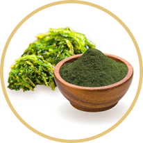 Spirulina