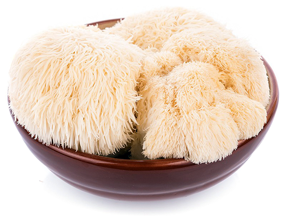 Süngomba